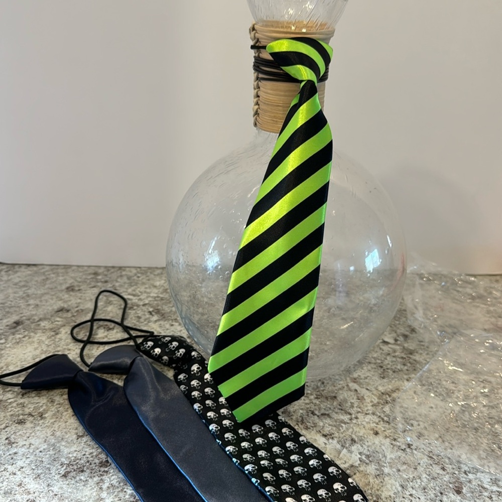 NWOT 10 inch unisex ties set of 4. Attached elastic cord goes under the collar